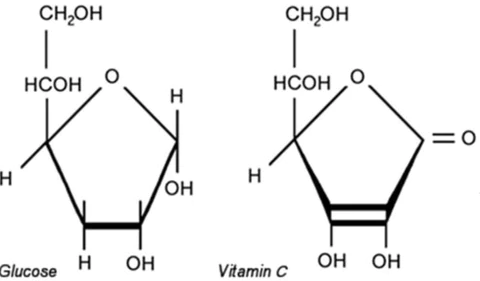 Glükoos ja C vitamiin