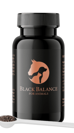 Black Balance loomadele